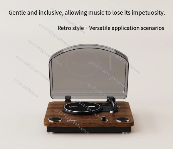 Altoparlante Bluetooth a Forma - Vintage Fashion Ornaments recensione e prezzo